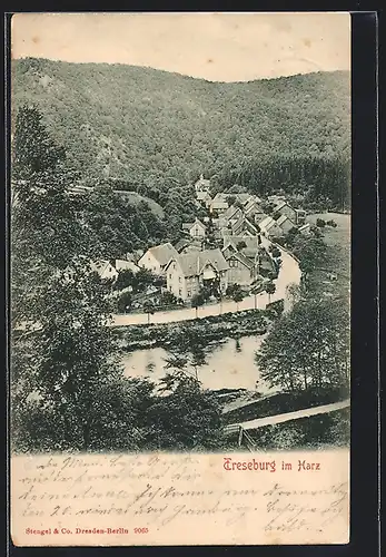 AK Treseburg, Gesamtansicht vom Hügel aus mit Hotel weisser Hirsch, Bes. J. Wudecke
