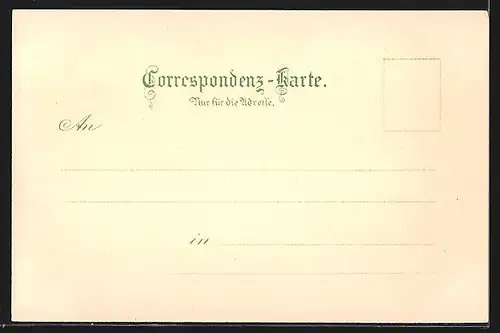 Lithographie Prag / Praha, Altstädter Rathaus, Karlstein, St. Nicolaskirche