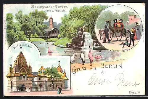 Lithographie Berlin-Charlottenburg, Zoologischer Garten, Neptuns-Teich, Kamel-Reiten und Elefantenhaus