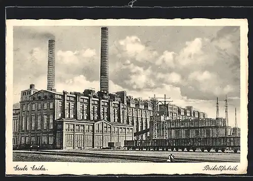 AK Grube Erika, Brikettfabrik, Kohlebergbau