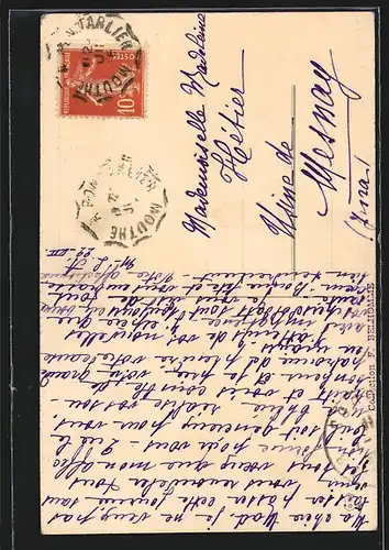 Künstler-AK Catharina Klein: blaue Weintrauben an der Rebe