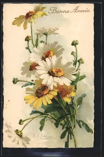 Künstler-AK Catharina Klein: Weisse und gelbe Margeriten