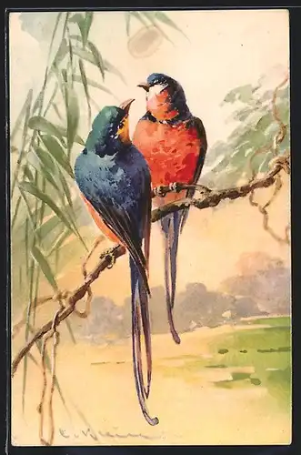 Künstler-AK Catharina Klein: Zwei bunte Vögel sitzen auf einem Ast