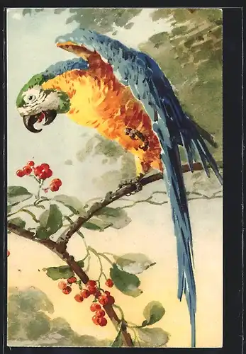 Künstler-AK Catharina Klein: Papagei auf einem Ast