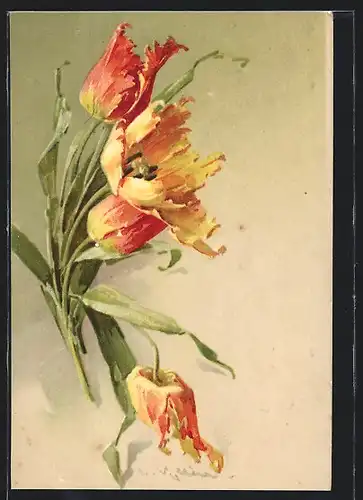 Künstler-AK Catharina Klein: Gelbrote Tulpen mit gezackten Blättern