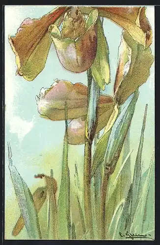 Künstler-AK Catharina Klein: Lilien mit Blättern
