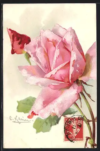 Künstler-AK Catharina Klein: Rosa Rose und rote Knospe