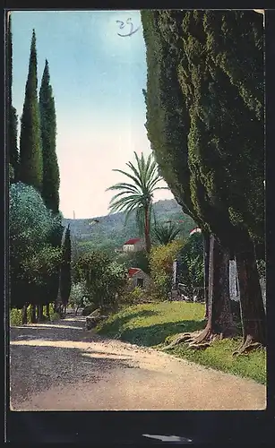 AK Dubrovnik, Trsteno