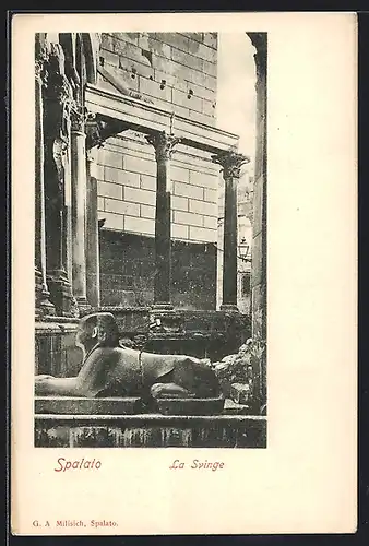 AK Spalato, La Svinge