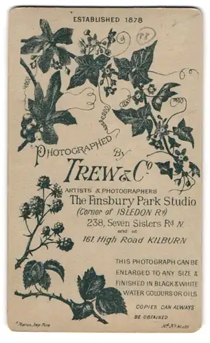 Fotografie Trew & Co., London-Kilburn, Sträucher mit Beeren und Früchten über der Anschrift des Ateliers