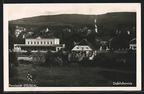 AK Dobrichovice, Pensionat Stejskal, Bahnhof, Nadrazi