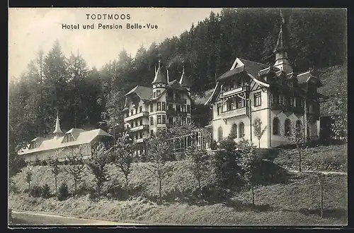 AK Todtmoos, Hotel und Pension Belle-Vue