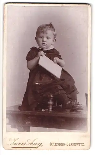 Fotografie James Aurig, Dresden-Blasewitz, Portrait niedliches Kleinkind im hübschen Kleid auf Tisch sitzend