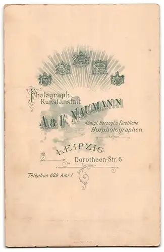 Fotografie A. & F. Naumann, Leipzig, Portrait junges Paar in hübscher Kleidung