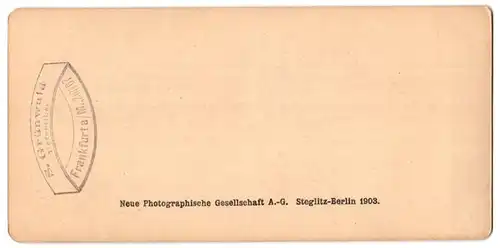 Stereo-Fotografie Neue Photographische Gesellschaft AG, Berlin, Ansicht Venezia, Palazza Barbaro