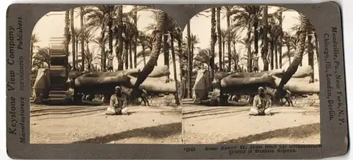 Stereo-Fotografie Keystone View Company, New York, Ansicht Memphis, Statue Rameses II. unter Palmen