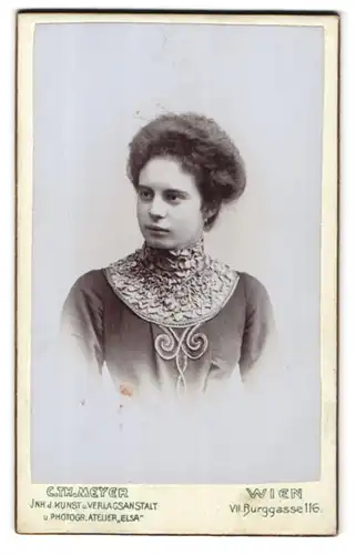 Fotografie Carl Th. Meyer, Wien, Burggasse 116, Portrait junge Dame im hübschen Kleid
