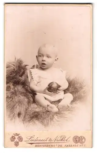 Fotografie Ludeneit & Nickel, Königsberg, Passage No. 1, Säugling auf Fell mit Kugel in der Hand