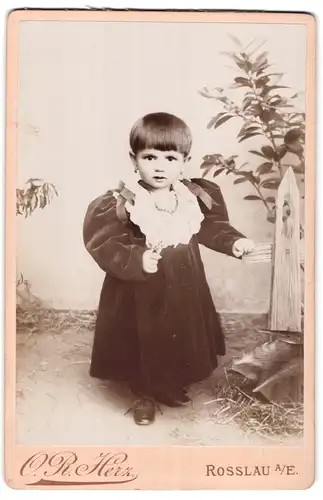 Fotografie O. R. Herz, Rosslau a / E., Portrait kleines Mädchen im Samtkleid an Zaun gelehnt