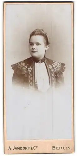 Fotografie A. Jandorf & Co., Berlin, Portrait junge Dame im hübschen Kleid