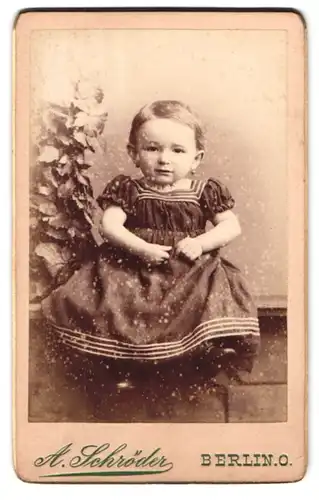 Fotografie A. Schröder, Berlin-O, Gr. Frankfurterstrasse 117, Portrait Kleinkind in Kleid