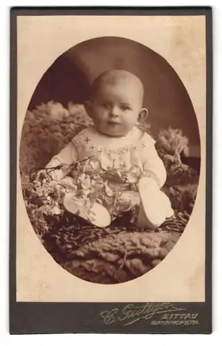 Fotografie C. Güttges, Zittau, Bahnhofstr., Säugling mit abstehenden Ohren