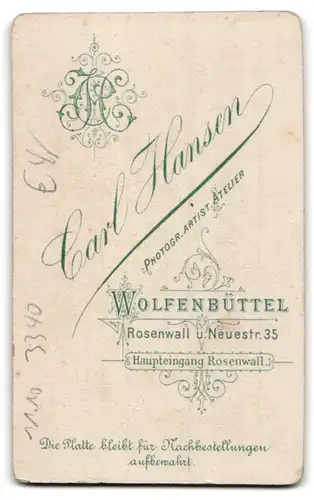 Fotografie C. Hansen, Wolfenbüttel, Fräulein mit gelocktem Haar und Puffärmeln