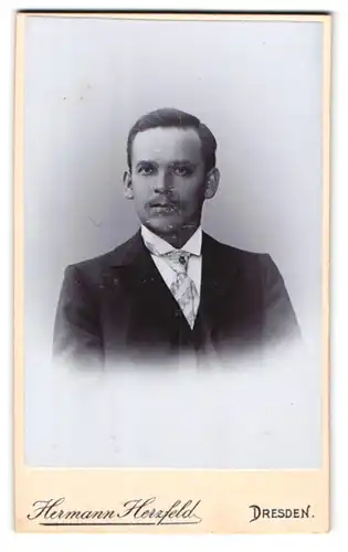 Fotografie Hermann Herzfeld, Dresden, Altmarkt, Portrait charmanter junger Mann in Krawatte und Jackett