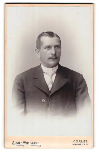 Fotografie Adolf Winkler, Görlitz, Berlinerstr. 12, Portrait stattlicher Herr in Krawatte und Jackett