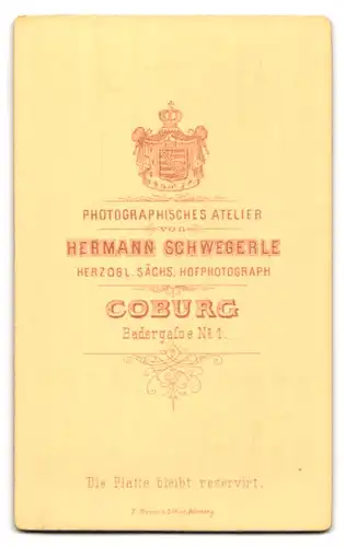 Fotografie Herm. Schwegerle, Coburg, Badergasse 1, Portrait blonde Schönheit mit Flechtdutt und Brosche am Blusenkragen