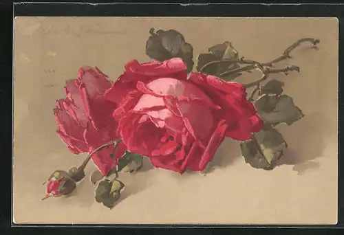 Künstler-AK Catharina Klein: Rote Rosen mit Knospe