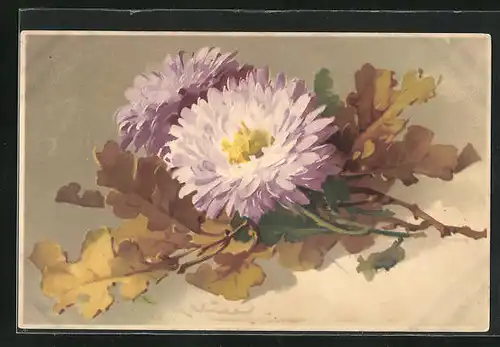 Künstler-AK Catharina Klein: Chrysanthemen mit Blättern