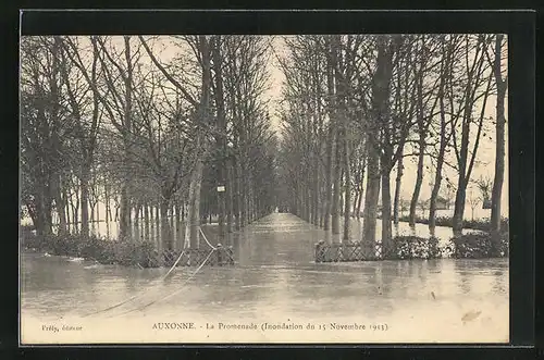 AK Auxonne, La Promenade (Inondation du 15 Novembre 1913)