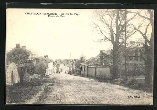 AK Chatillon-sur-Marne, Entrée du Pays, Route du Bois
