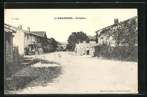 AK Virginy, Strassenpartie mit Gänsen