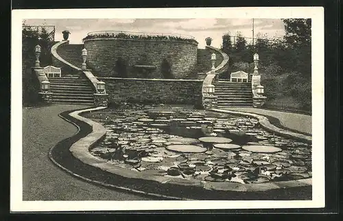 AK Essen, Grosse Ruhrländische Gartenbau-Ausstellung 1929, Staudenlichtung, Victoria Regia Becken