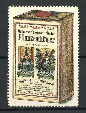 Reklamemarke Hallmayer's konzentrierter Pflanzendünger, Frau mit Blumen am Fenster