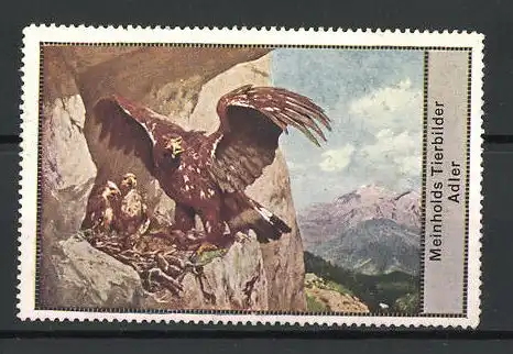 Reklamemarke Serie: Meinholds Tierbilder, Adler mit Jungen am Nest