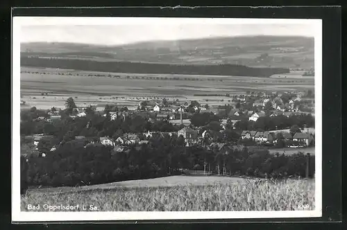 AK Bad Oppelsdorf i. Sa., Gesamtansicht