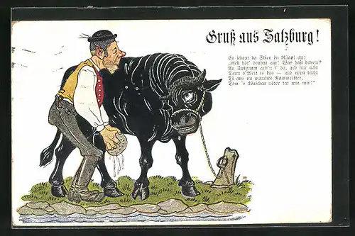 AK Salzburg, Grusskarte, Bauer wäscht seinen Ochsen
