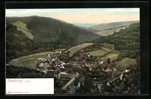 AK Treseburg / Harz, Panoramablick aus der Vogelschau