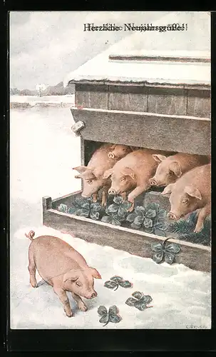 Künstler-AK C. Öhler: Schweine fressen Glücksklee