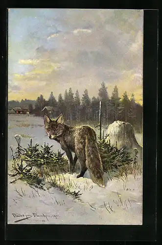 Künstler-AK M. Müller jun.: Fuchs in winterlicher Landschaft