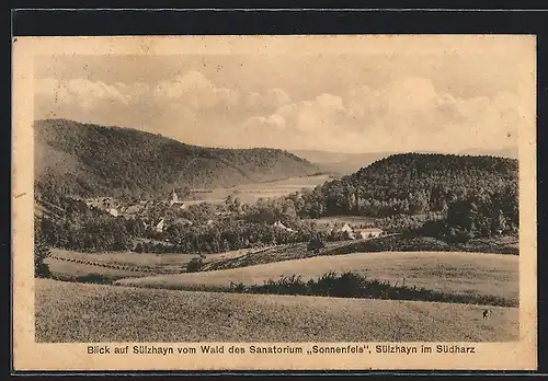 AK Sülzhayn im Südharz, Blick auf den Ort vom Wald des Sanatorium Sonnenfels