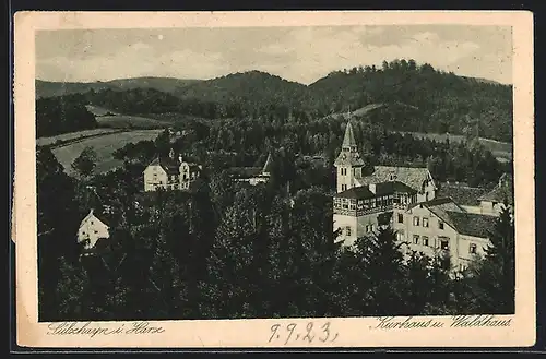 AK Sülzhayn i. Harz, Kurhaus und Waldhaus