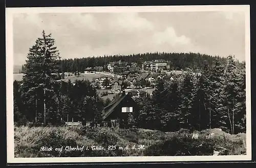 AK Oberhof i. Thür., Ortsansicht mit Wohnhäusern