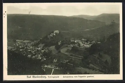 AK Bad Blankenburg /Thüringerwald, Schwarzburg vom Trippstein aus
