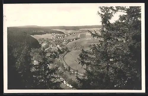 AK Tanne i. Oberharz, Ortsansicht mit Wohnhäusern