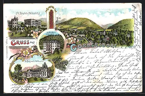 Lithographie Görbersdorf, Dr. Römpler`s Heilanstalt, Dr. Weicker`s Heilanstalt, Dr. Brehmer`s Heilanstalt