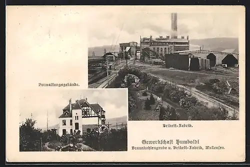AK Wallensen, Gewerkschaft Humboldt, Brikettfabrik und Verwaltungsgebäude